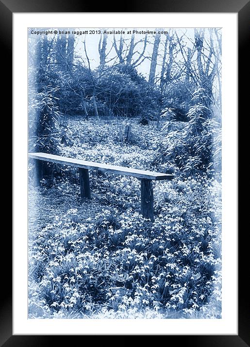 Rest on a Carpet of Snowdrops Framed Mounted Print by Brian  Raggatt