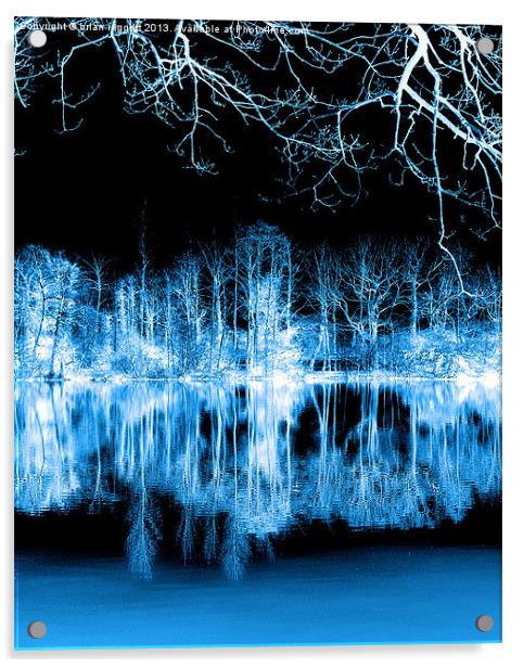 Lake Nights reflections Acrylic by Brian  Raggatt