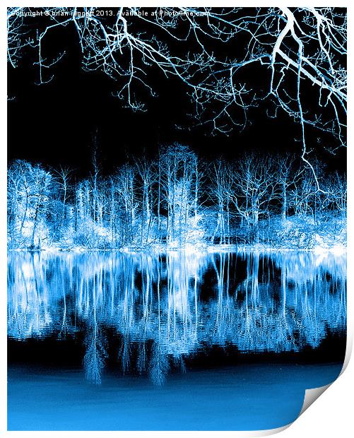Lake Nights reflections Print by Brian  Raggatt