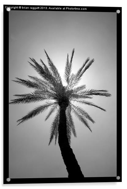 The Palm Tree Acrylic by Brian  Raggatt