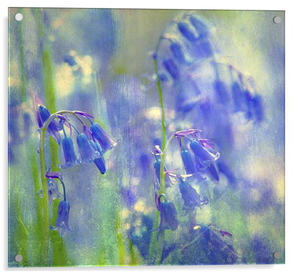Blue Haze Acrylic by Dawn Cox