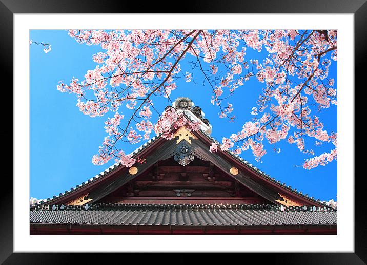 Spring in Japan Framed Mounted Print by Geoff Tydeman