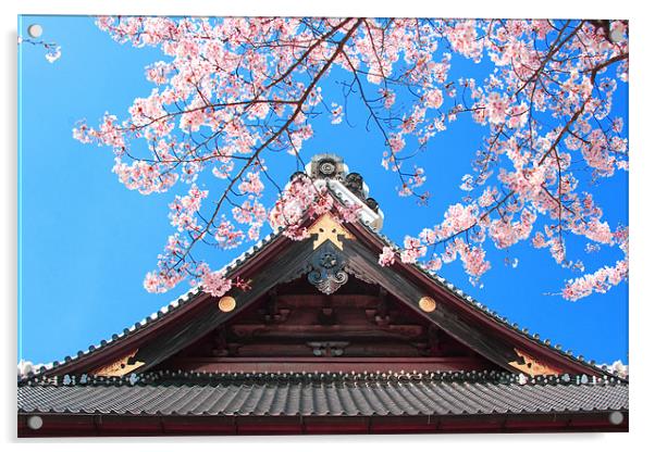 Spring in Japan Acrylic by Geoff Tydeman