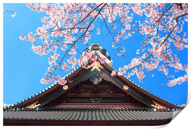 Spring in Japan Print by Geoff Tydeman