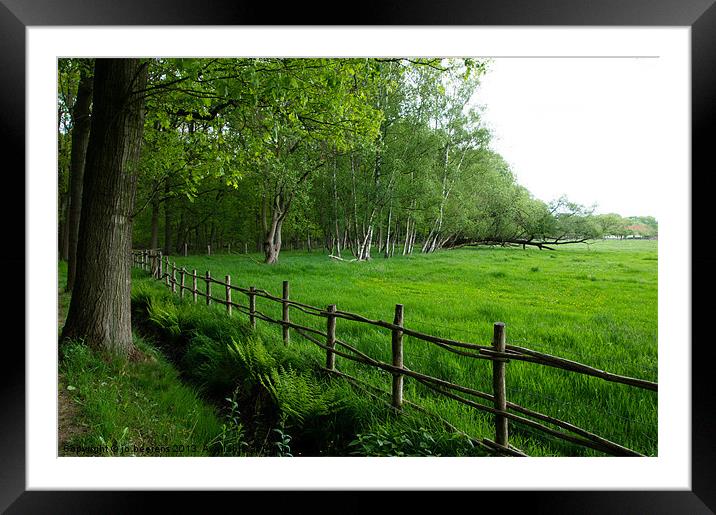 grassland meadow Framed Mounted Print by Jo Beerens