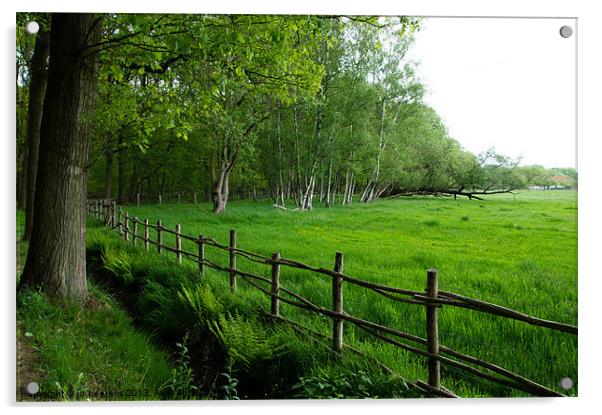 grassland meadow Acrylic by Jo Beerens
