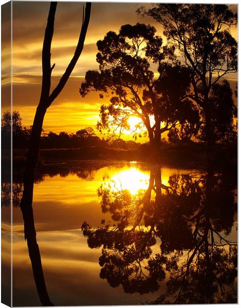 Mirrored Image Canvas Print by