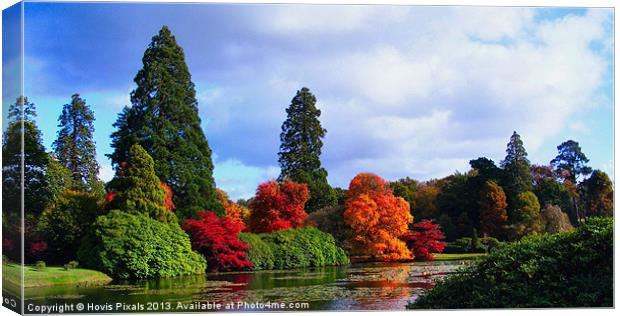 Autumn Colours Canvas Print by Dave Burden