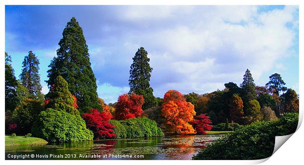 Autumn Colours Print by Dave Burden