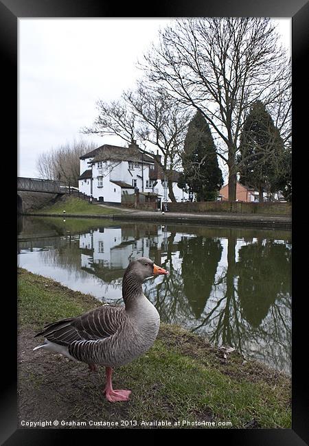 By the Canal Framed Print by Graham Custance