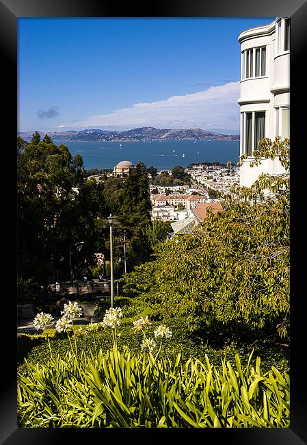 San Francisco Bay Framed Print by Mark Llewellyn