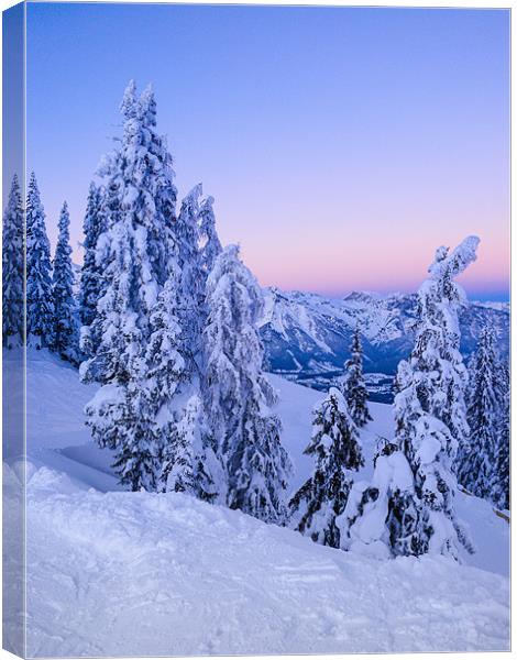 Evening Snowscape Canvas Print by Mark Llewellyn