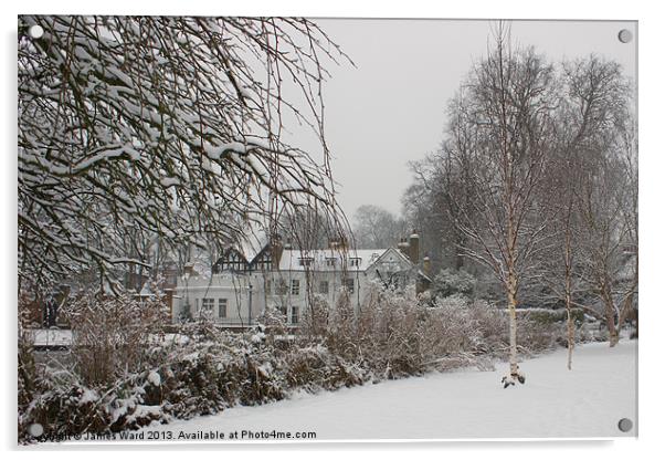 Winter at Honeywood Acrylic by James Ward