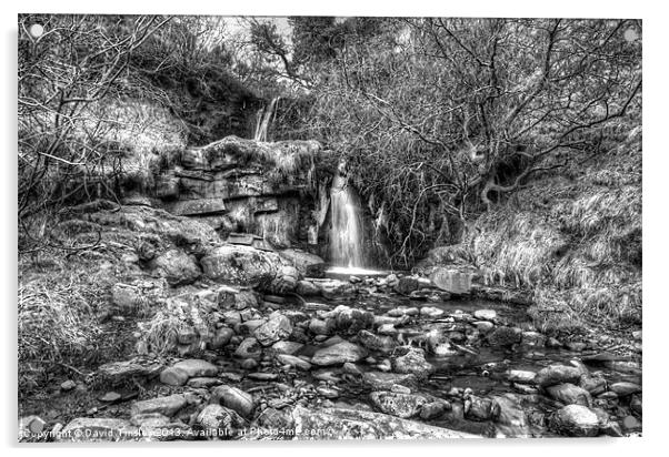 Beacons Waterfall in Monochrome Acrylic by David Tinsley