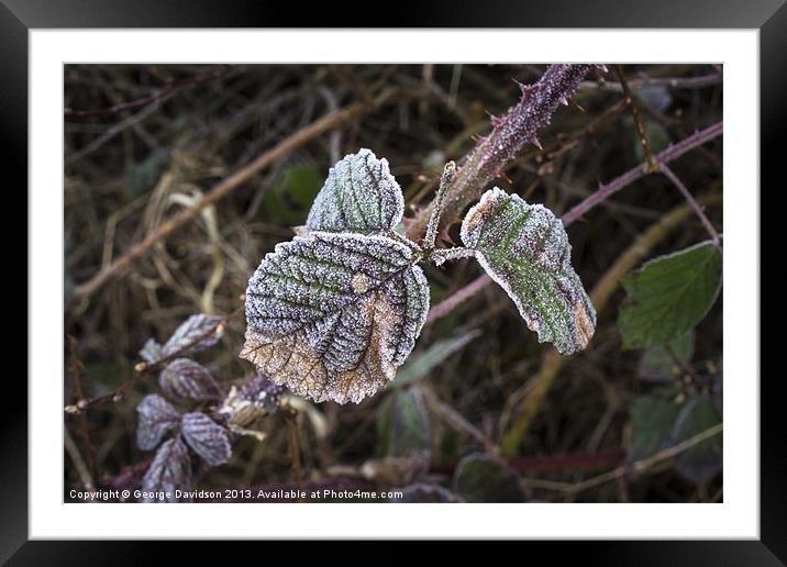 Frosted Framed Mounted Print by George Davidson