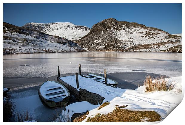 Frozen Lake Print by Gail Johnson