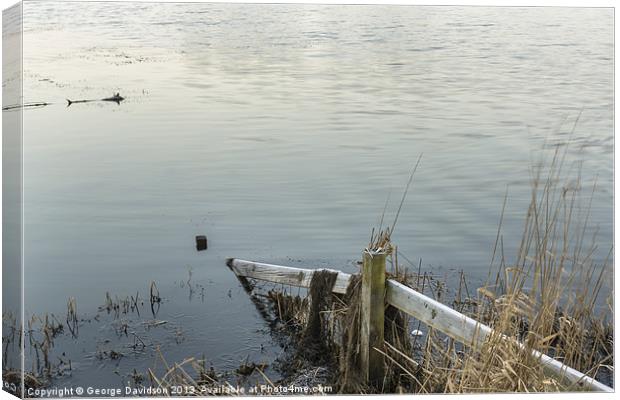 Fenced Canvas Print by George Davidson