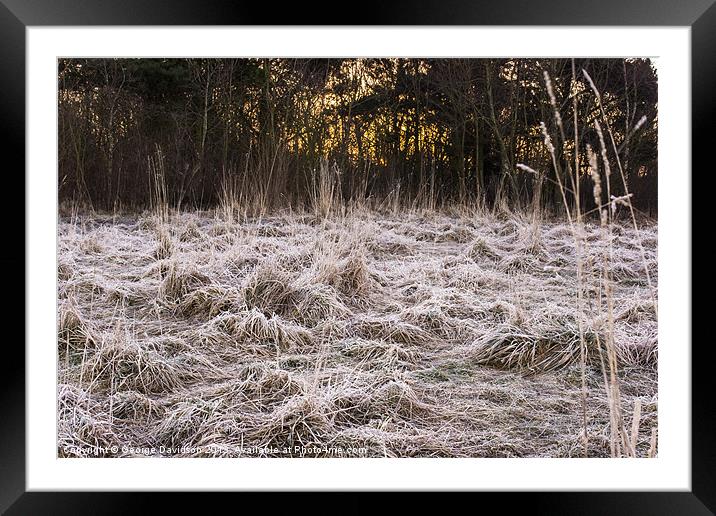 Frosted Sunrise Framed Mounted Print by George Davidson