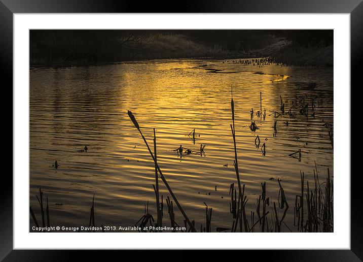 On Golden Pond Framed Mounted Print by George Davidson