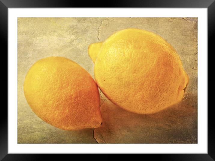 Lemons Framed Mounted Print by Dawn Cox