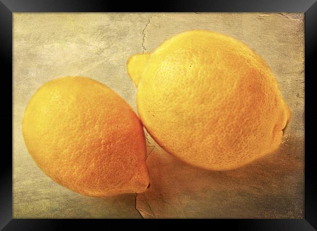 Lemons Framed Print by Dawn Cox