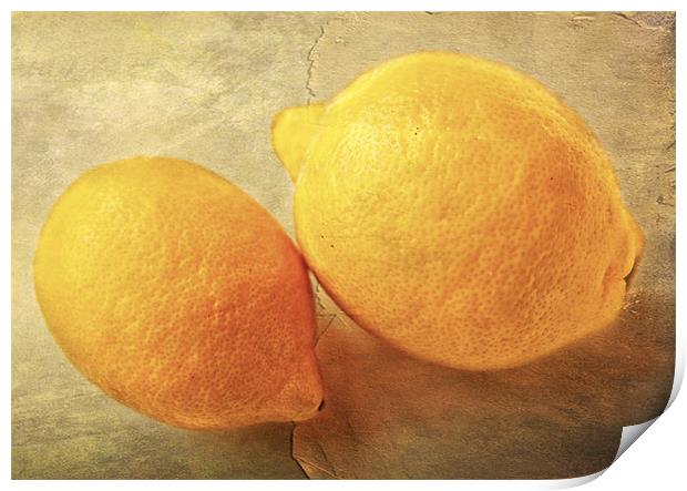 Lemons Print by Dawn Cox