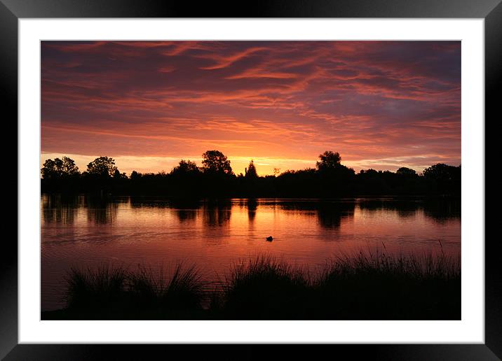 Tranquility Framed Mounted Print by Philip Marland