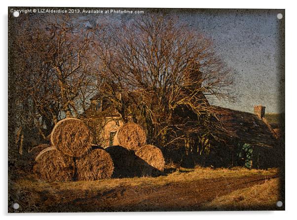 Straw Bales Acrylic by LIZ Alderdice