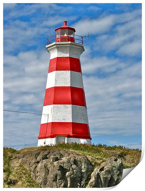Brier Island (West) Lighthouse Print by David Davies