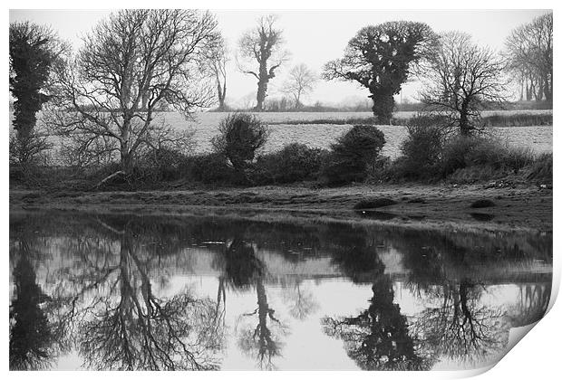 Carew Lake Mill Pond Reflections Print by Simon West