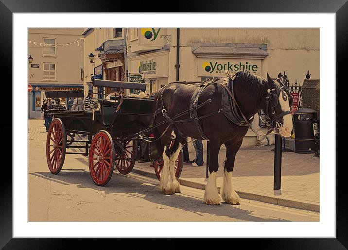 Horse and carriage Framed Mounted Print by Steve Purnell