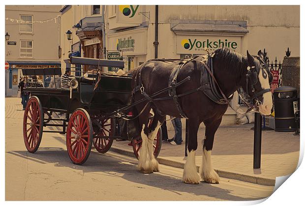 Horse and carriage Print by Steve Purnell