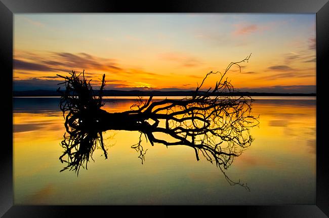 Loch Leven Tree Reflection Framed Print by Adrian Maricic