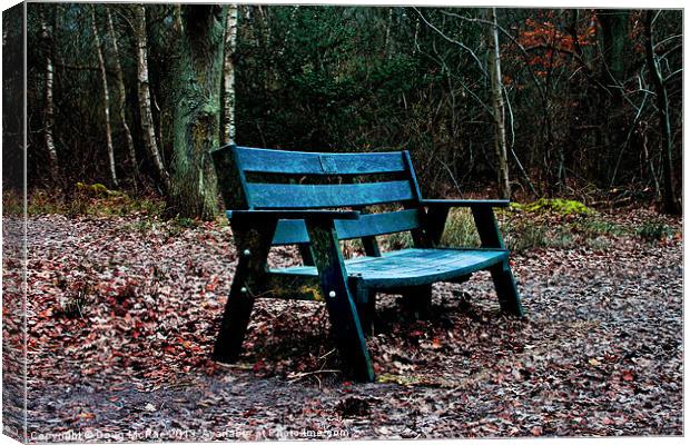 some where to sit Canvas Print by Doug McRae