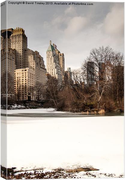 Central Park South Side Canvas Print by David Tinsley