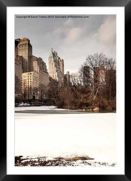 Central Park South Side Framed Mounted Print by David Tinsley