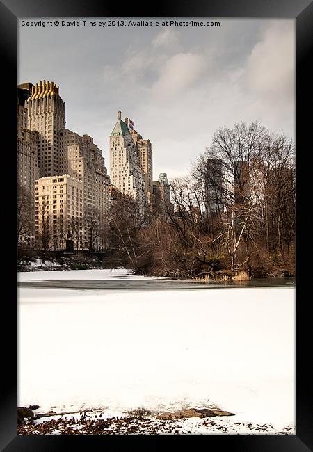 Central Park South Side Framed Print by David Tinsley
