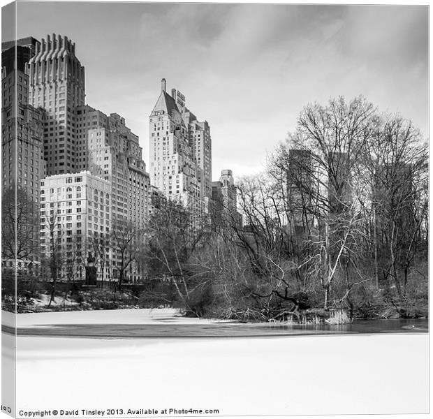 Snow In The Park Canvas Print by David Tinsley