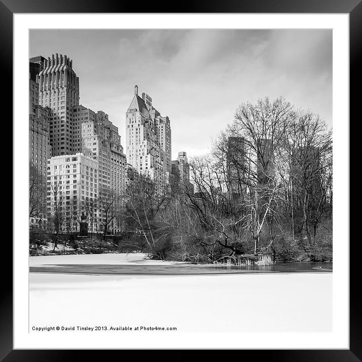 Snow In The Park Framed Mounted Print by David Tinsley