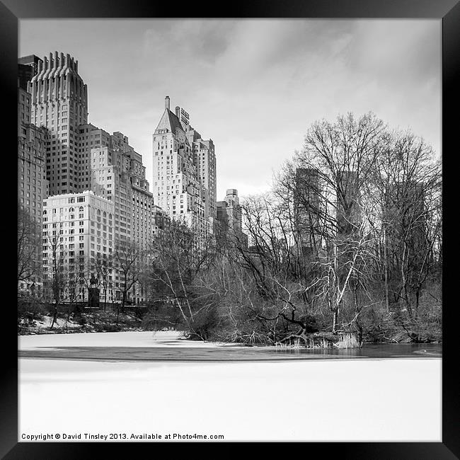 Snow In The Park Framed Print by David Tinsley