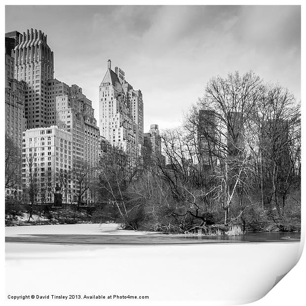 Snow In The Park Print by David Tinsley