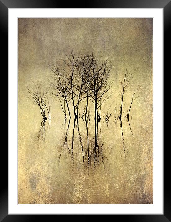 True Reflections Framed Mounted Print by Dawn Cox