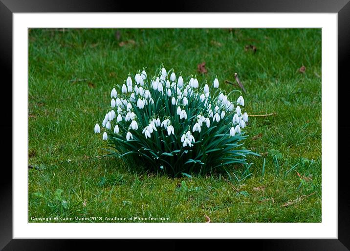 A Clump of Snowdrops Framed Mounted Print by Karen Martin