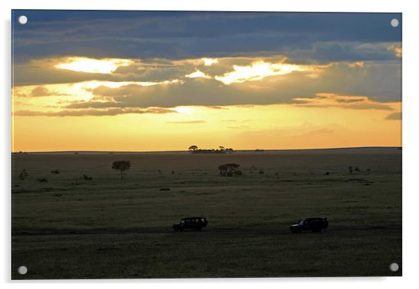 Sun rising over Serengeti Acrylic by Tony Murtagh