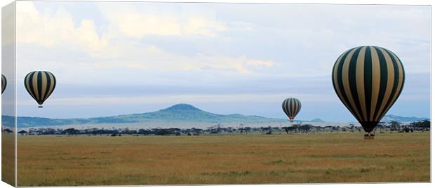 Balloons over Serengeti Canvas Print by Tony Murtagh