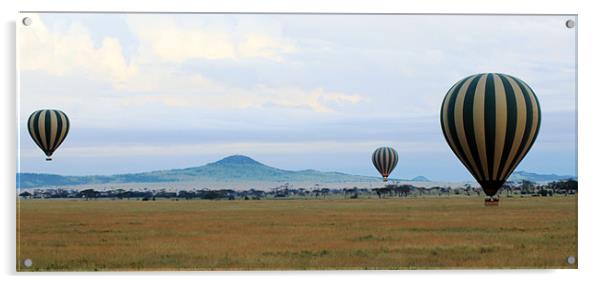 Balloons over Serengeti Acrylic by Tony Murtagh