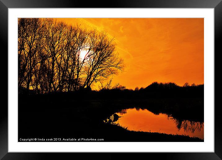 orange  silhouette ! Framed Mounted Print by linda cook