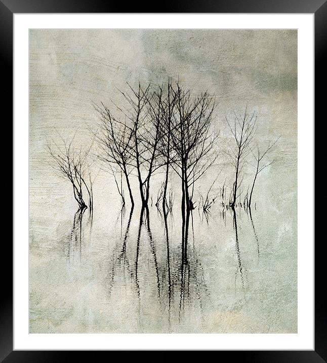 Lost in time Framed Mounted Print by Dawn Cox
