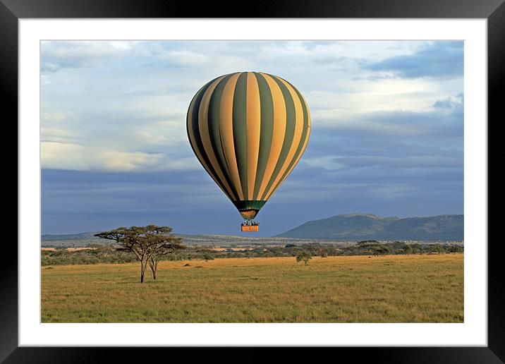 Hot Air Balloon over Serengeti Framed Mounted Print by Tony Murtagh