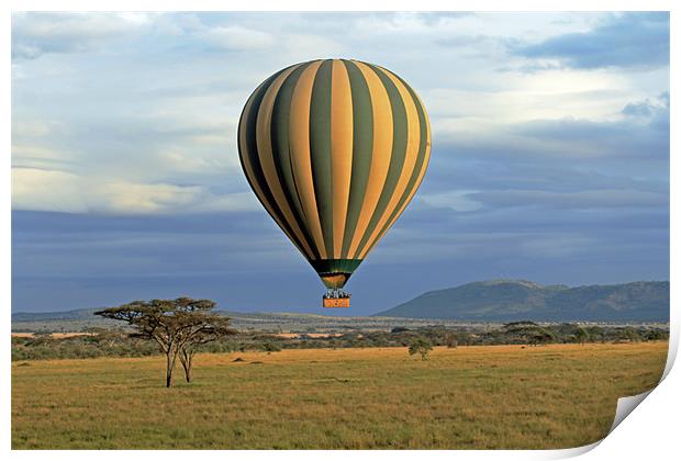 Hot Air Balloon over Serengeti Print by Tony Murtagh